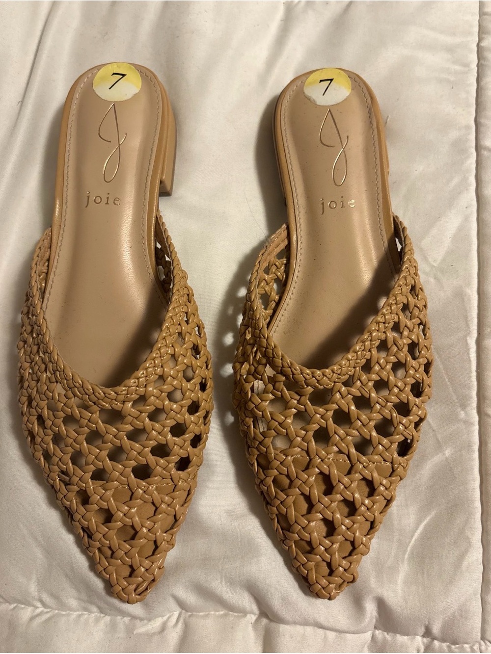 Joie Woven Pointed-Toe Slide Mules in Tan